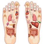 Pourquoi il faut se masser les pieds ? Pourquoi il faut se masser les pieds ?